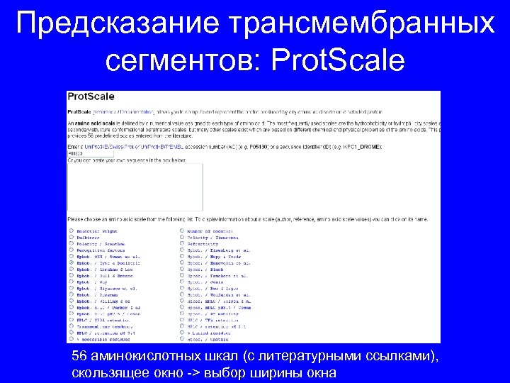 Предсказание трансмембранных сегментов: Prot. Scale 56 аминокислотных шкал (с литературными ссылками), скользящее окно ->
