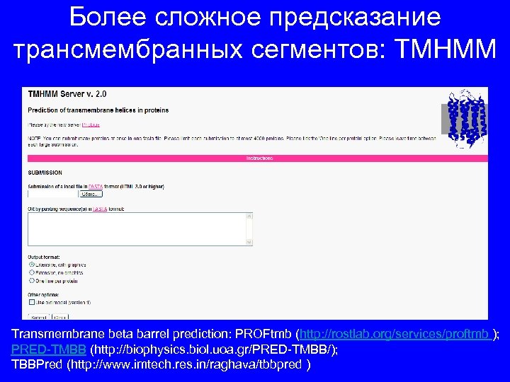 Более сложное предсказание трансмембранных сегментов: TMHMM Transmembrane beta barrel prediction: PROFtmb (http: //rostlab. org/services/proftmb