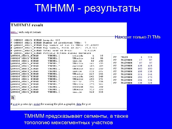 TMHMM - результаты Находит только 7! TMs TMHMM предсказывает сегменты, а также топологию межсегментных