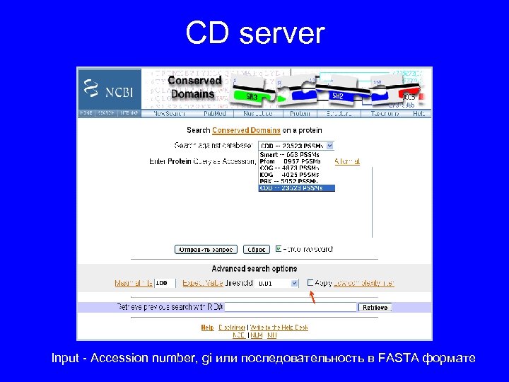 CD server Input - Accession number, gi или последовательность в FASTA формате 