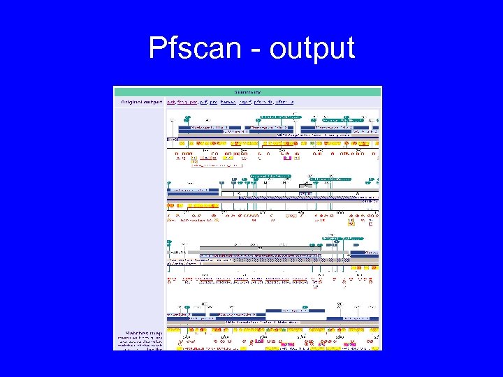 Pfscan - output 