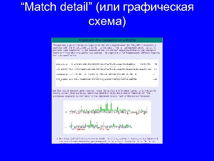 “Match detail” (или графическая схема) 