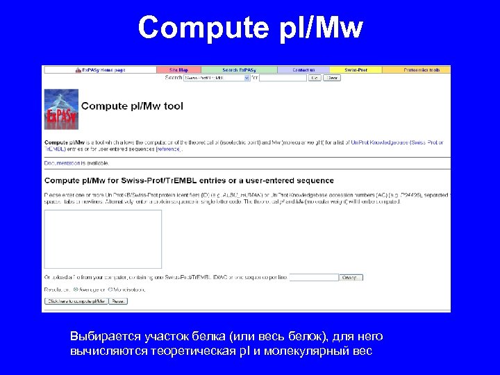 Compute p. I/Mw Выбирается участок белка (или весь белок), для него вычисляются теоретическая p.
