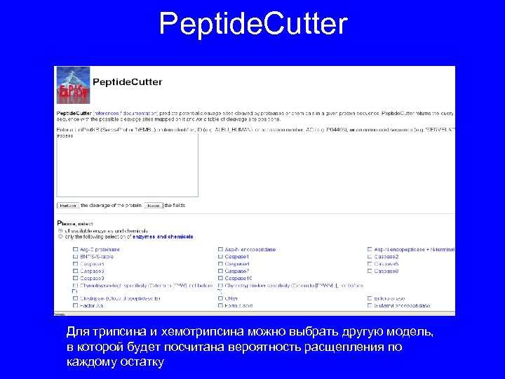 Peptide. Cutter Для трипсина и хемотрипсина можно выбрать другую модель, в которой будет посчитана