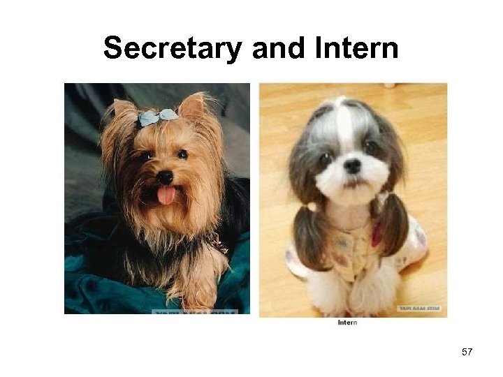 Secretary and Intern 57 