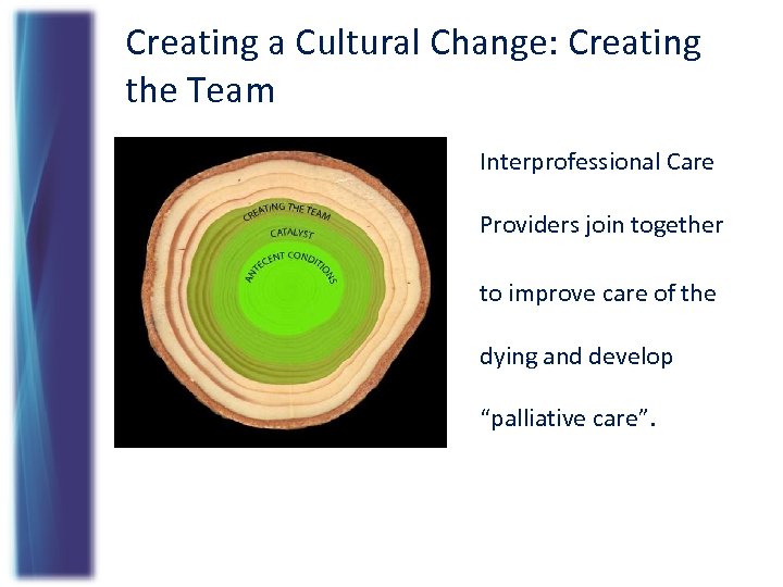 Creating a Cultural Change: Creating the Team Interprofessional Care Providers join together to improve