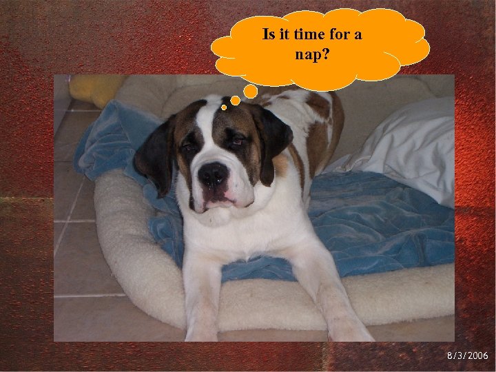 Is it time for a nap? 8/3/2006 