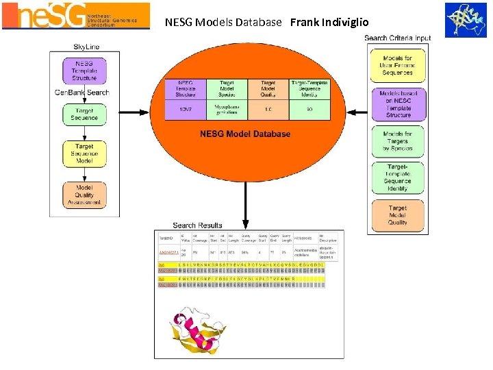 NESG Models Database Frank Indiviglio 