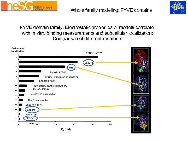 Whole family modeling: FYVE domains FYVE domain family: Electrostatic properties of models correlate with