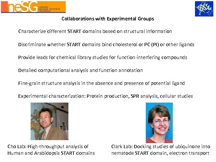 Collaborations with Experimental Groups Characterize different START domains based on structural information Discriminate whether