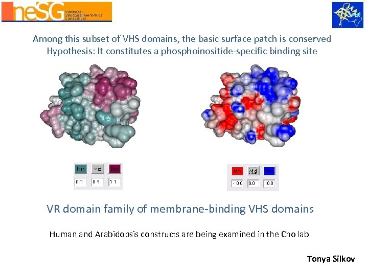 Among this subset of VHS domains, the basic surface patch is conserved Hypothesis: It