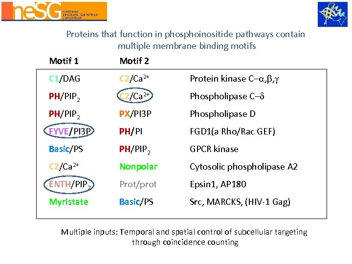 Proteins that function in phosphoinositide pathways contain multiple membrane binding motifs Motif 1 Motif