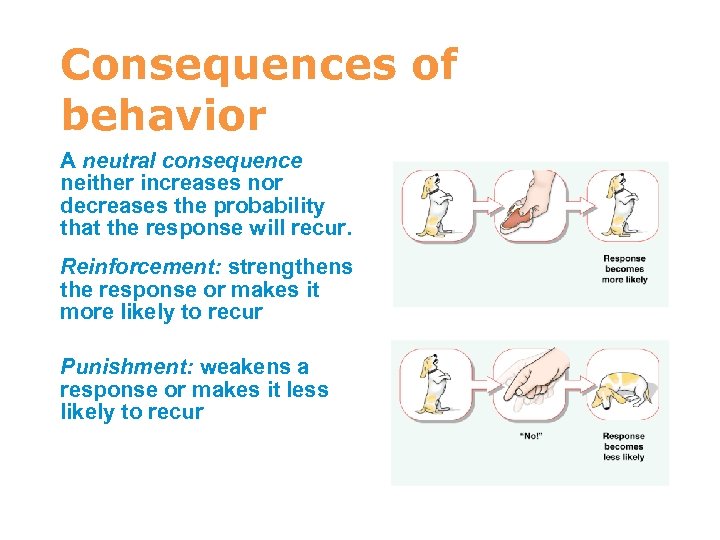 Consequences of behavior A neutral consequence neither increases nor decreases the probability that the