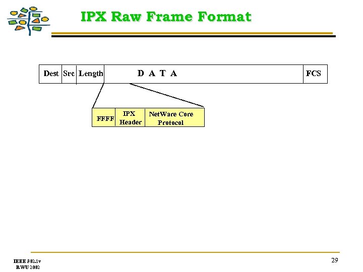 IPX Raw Frame Format Dest Src Length D A T A IPX FFFF Header