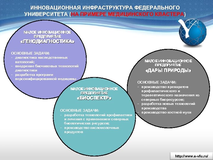ИННОВАЦИОННАЯ ИНФРАСТРУКТУРА ФЕДЕРАЛЬНОГО УНИВЕРСИТЕТА (НА ПРИМЕРЕ МЕДИЦИНСКОГО КЛАСТЕРА) МАЛОЕ ИННОВАЦИОННОЕ ПРЕДПРИЯТИЕ «ГЕНОДИАГНОСТИКА» ОСНОВНЫЕ ЗАДАЧИ: