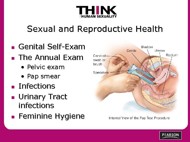 Sexual and Reproductive Health n n Genital Self-Exam The Annual Exam • Pelvic exam