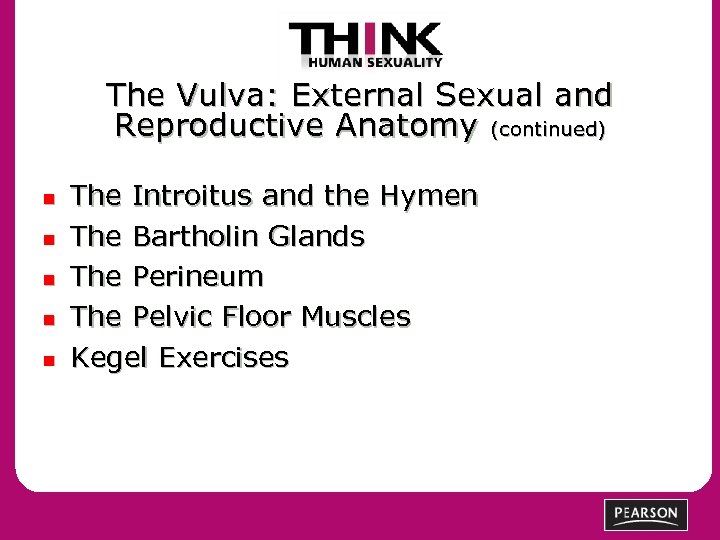 The Vulva: External Sexual and Reproductive Anatomy (continued) n n n The Introitus and