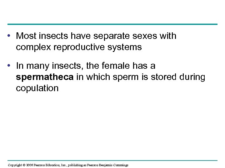 • Most insects have separate sexes with complex reproductive systems • In many