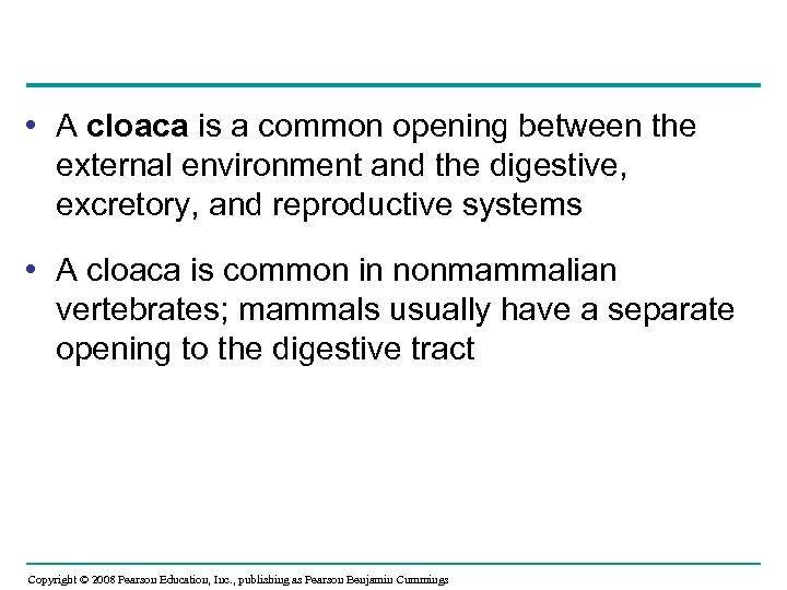  • A cloaca is a common opening between the external environment and the