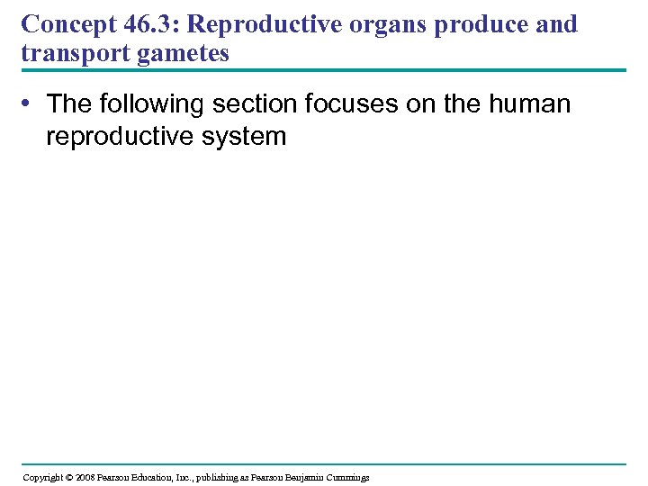 Concept 46. 3: Reproductive organs produce and transport gametes • The following section focuses