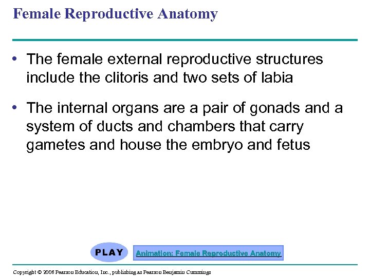 Female Reproductive Anatomy • The female external reproductive structures include the clitoris and two