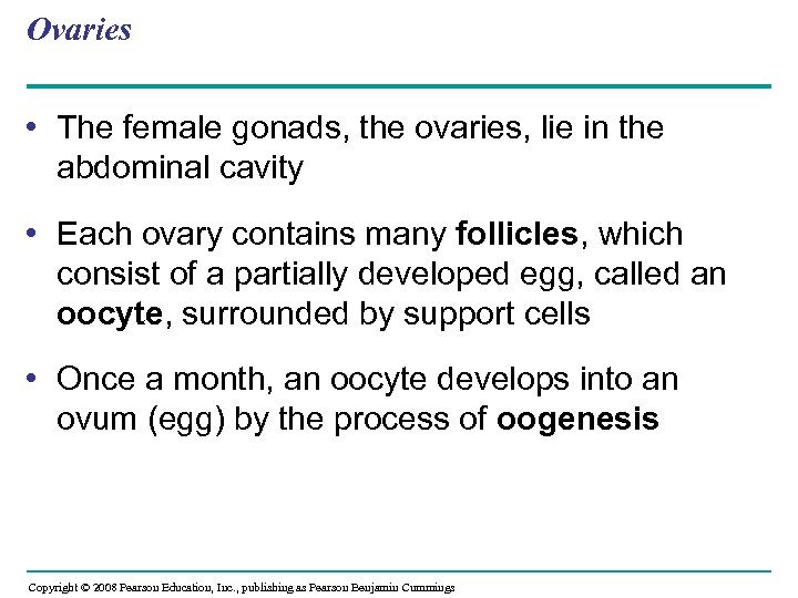 Ovaries • The female gonads, the ovaries, lie in the abdominal cavity • Each