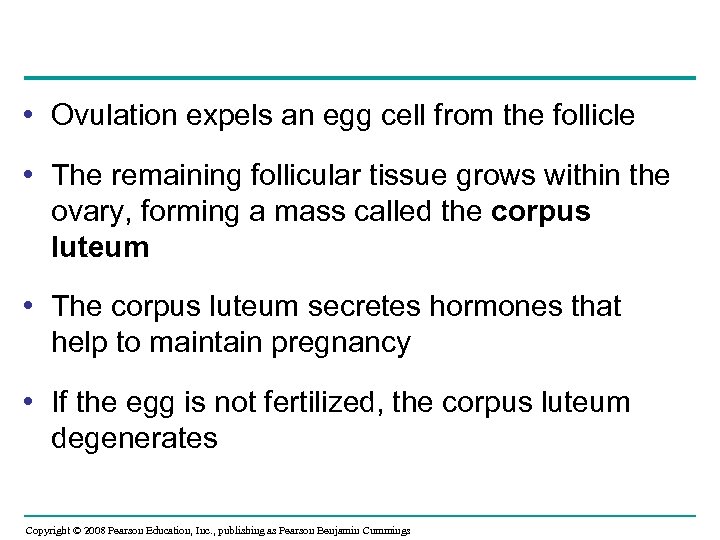  • Ovulation expels an egg cell from the follicle • The remaining follicular