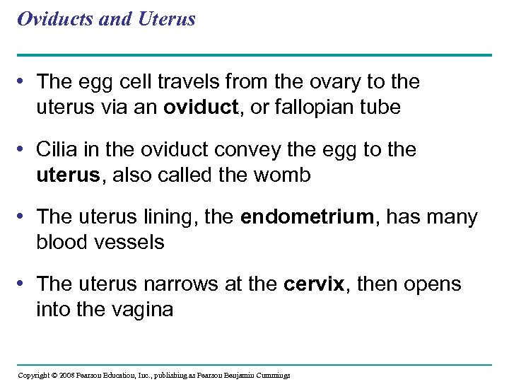 Oviducts and Uterus • The egg cell travels from the ovary to the uterus