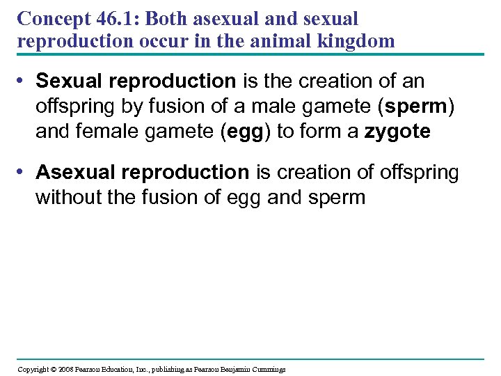 Concept 46. 1: Both asexual and sexual reproduction occur in the animal kingdom •