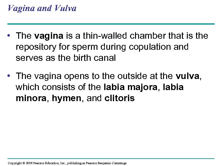Vagina and Vulva • The vagina is a thin-walled chamber that is the repository