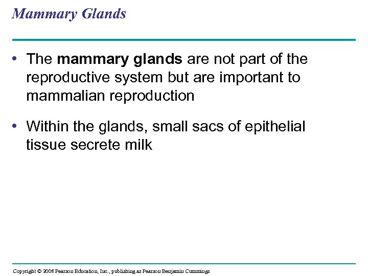 Mammary Glands • The mammary glands are not part of the reproductive system but