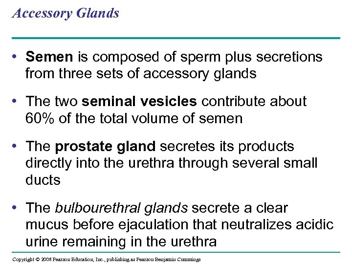 Accessory Glands • Semen is composed of sperm plus secretions from three sets of
