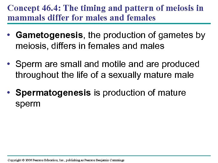 Concept 46. 4: The timing and pattern of meiosis in mammals differ for males