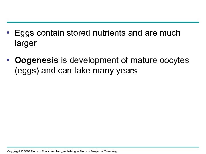  • Eggs contain stored nutrients and are much larger • Oogenesis is development