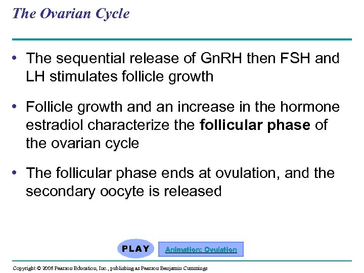 The Ovarian Cycle • The sequential release of Gn. RH then FSH and LH