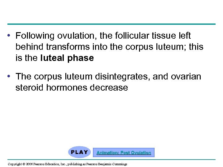  • Following ovulation, the follicular tissue left behind transforms into the corpus luteum;