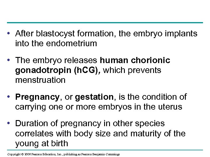  • After blastocyst formation, the embryo implants into the endometrium • The embryo