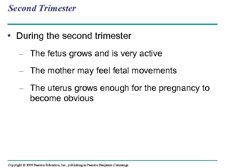 Second Trimester • During the second trimester – The fetus grows and is very