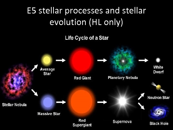 E 5 stellar processes and stellar evolution (HL only) 