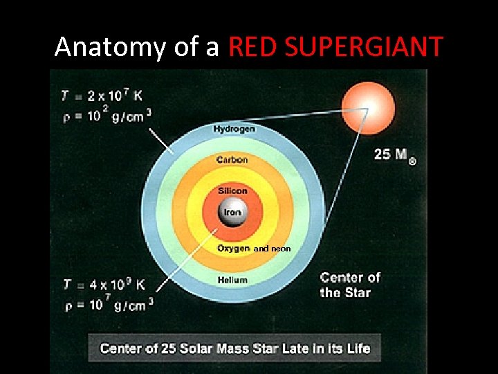 Anatomy of a RED SUPERGIANT and neon 