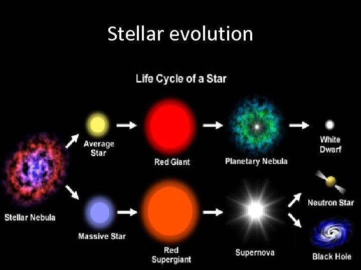 Stellar evolution 