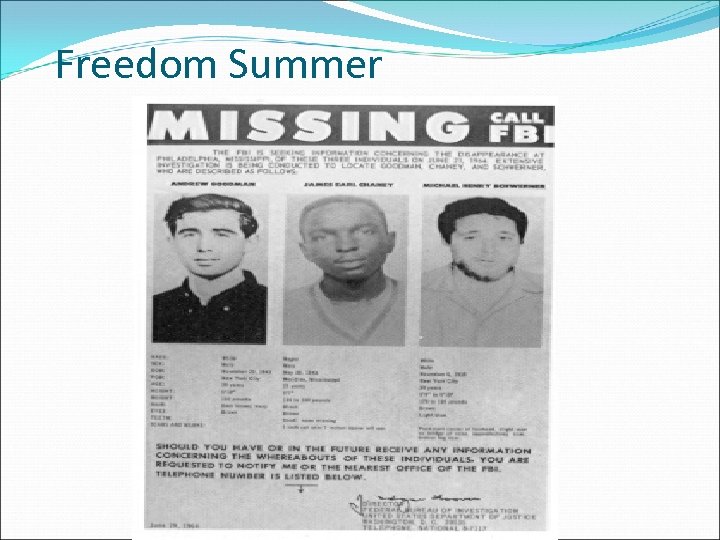 Freedom Summer 