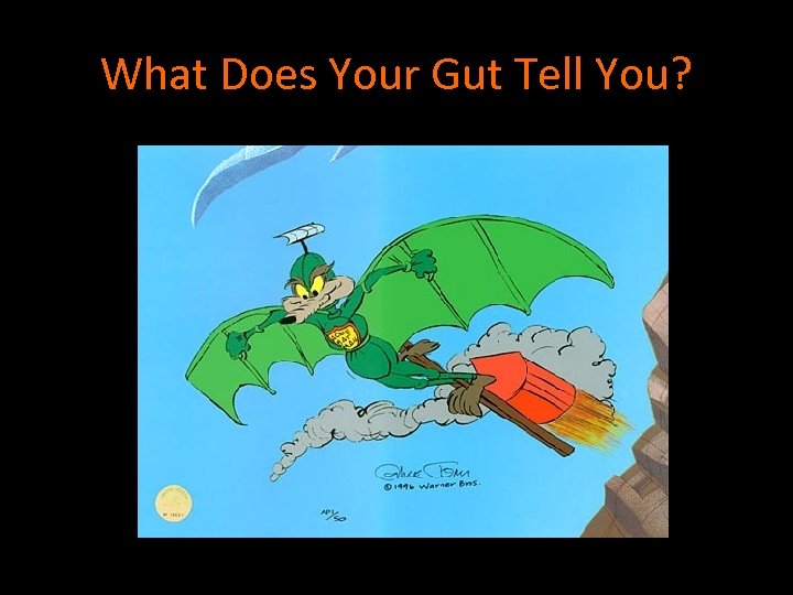 What Does Your Gut Tell You? 