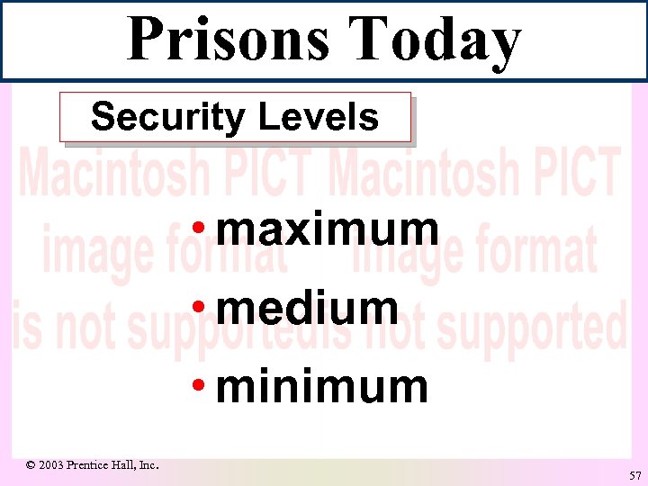 Prisons Today Security Levels • maximum • medium • minimum © 2003 Prentice Hall,