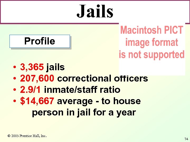 Jails Profile • • 3, 365 jails 207, 600 correctional officers 2. 9/1 inmate/staff
