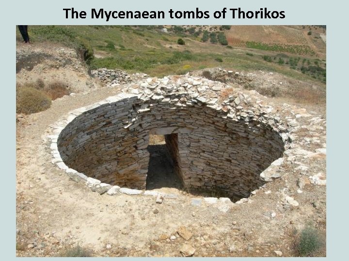 The Mycenaean tombs of Thorikos 