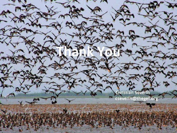 Thank You Christian Severin cseverin@thegef. org 