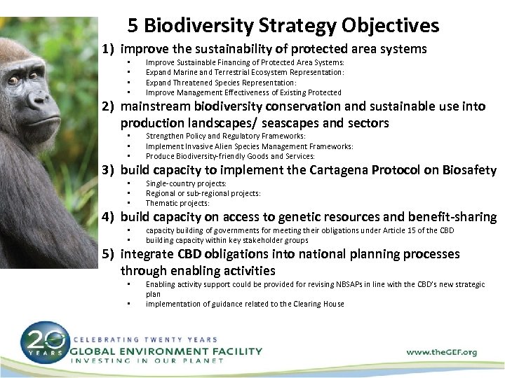 5 Biodiversity Strategy Objectives 1) improve the sustainability of protected area systems • •