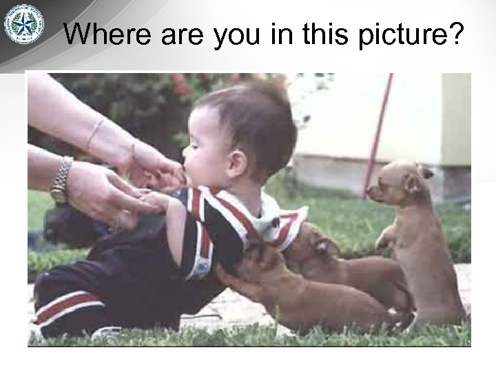 Where are you in this picture? 