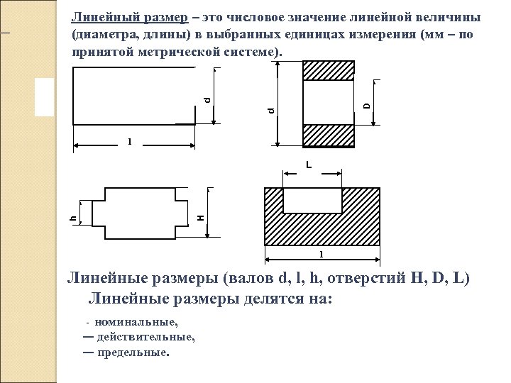 Линейный размер это